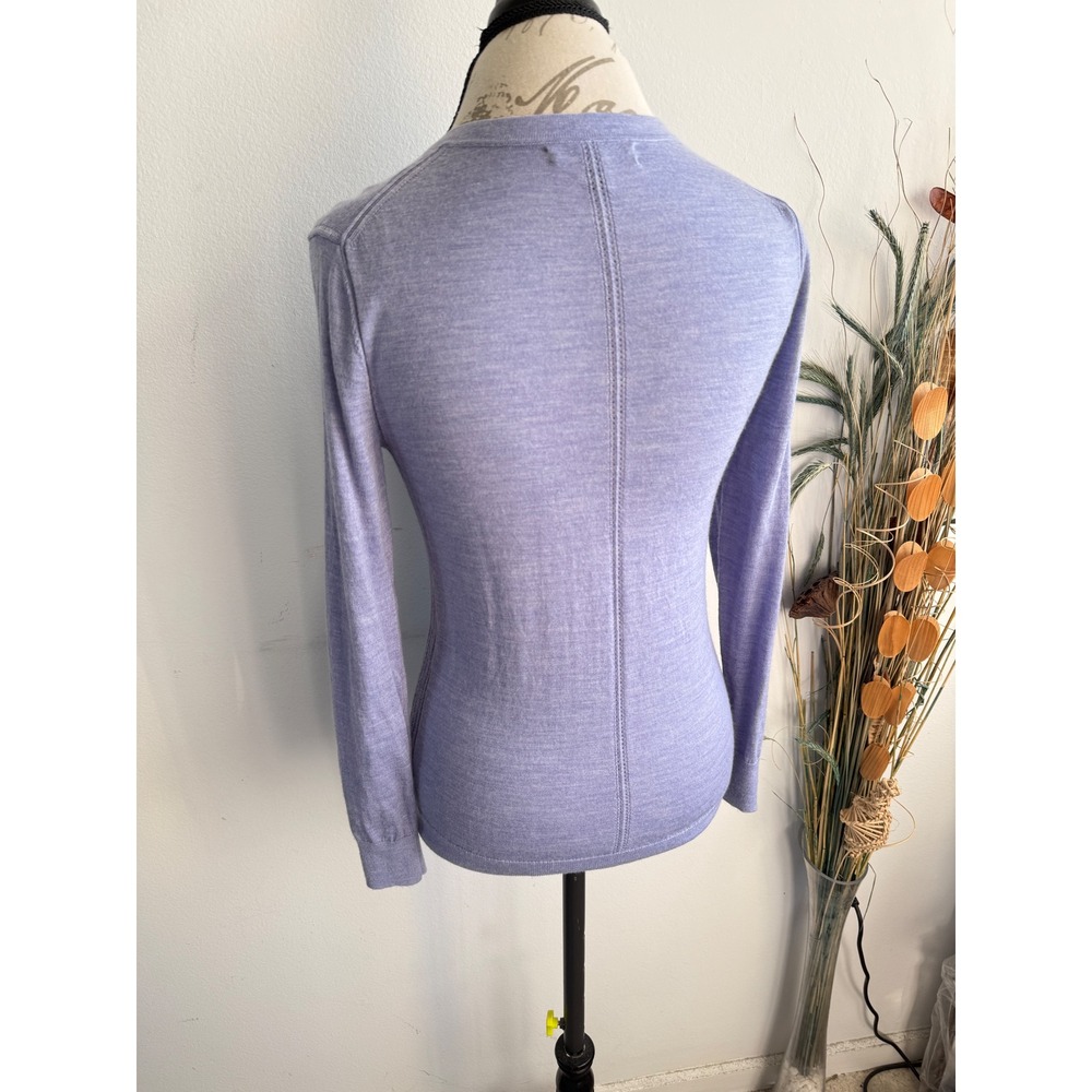 Banana Republic Womens Extra Fine Merino Wool V-Neck Sweater Lavender Purple XS